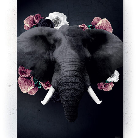 Plakat / canvas / akustik: Elefant (Desire)