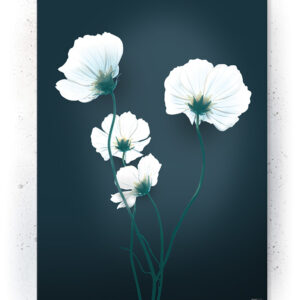 Plakater / Canvas / Akustik: Blå valmue blomst (Eclectic)