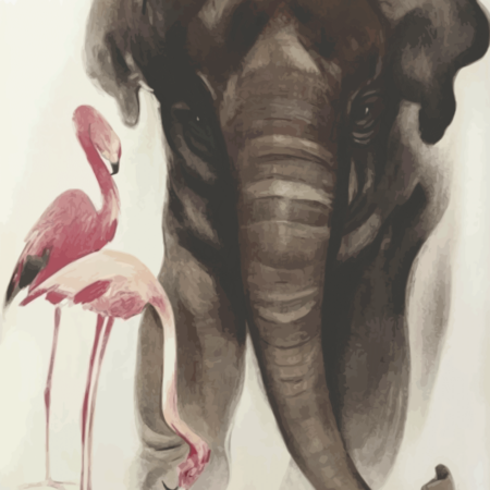 Zoo plakat - Elefant 2