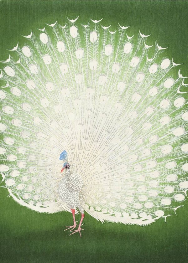 Green peacock - Japansk kunstplakat
