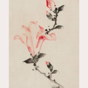 Pink blossoms - Japansk kunstplakat