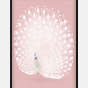 Pink peacock by Ohara Koson plakat