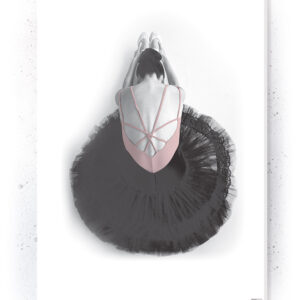 Plakat / Canvas / Akustik: Ballerina II (Flush Pink)
