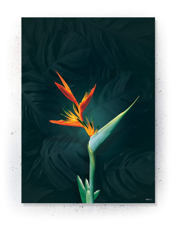 Plakat / Canvas / Akustik: Blomst 2 (Yellow spring)