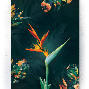 Plakat / Canvas / Akustik: Blomst (Yellow spring)