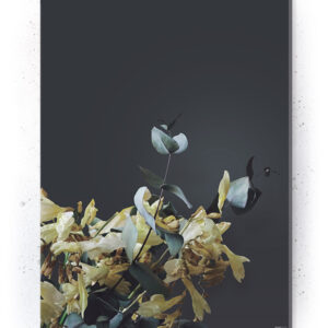 Plakat / Canvas / Akustik: Gule blomster(Withered)