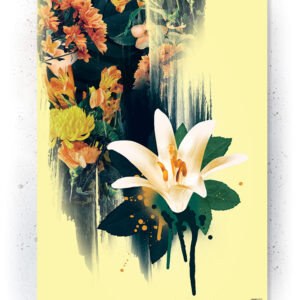 Plakat / Canvas / Akustik: Lilly (Yellow spring)
