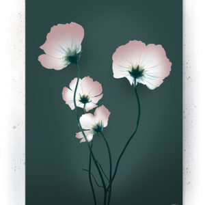 Plakater / Canvas / Akustik: Grøn valmue blomst (Eclectic)