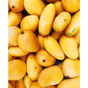 Yellow mangos - plakat