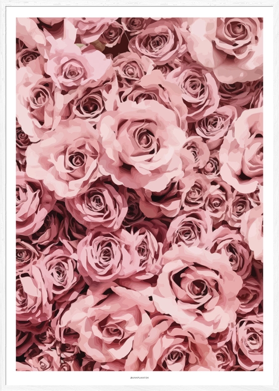 Grafisk plakat - Pink roses