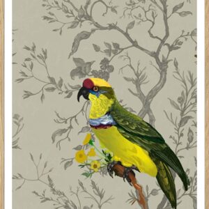 Grafisk plakat - den gule papegøje